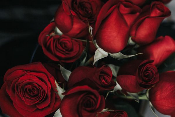 PACK ROMÁNTICO