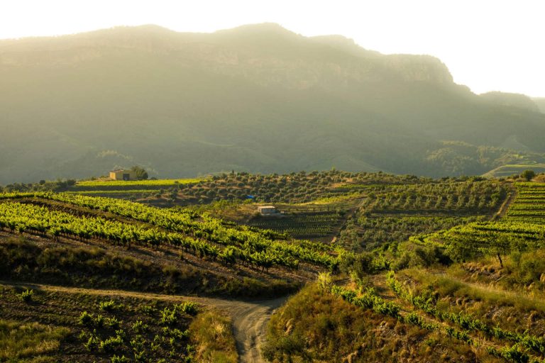 Priorat con alma: 10 experiencias inolvidables desde El Palauet del Priorat